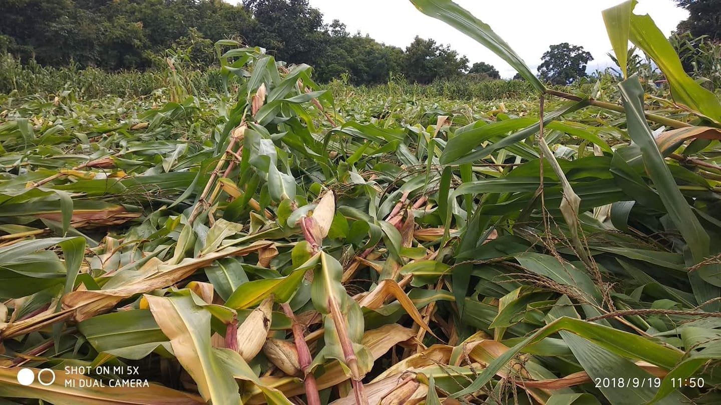 ပြောင်းခင်း