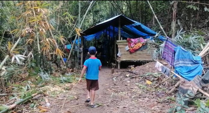 212256571_1135682813586555_6602735120345479027_n