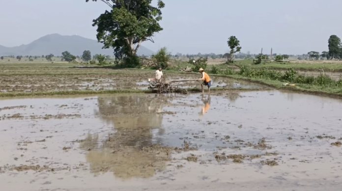 Screen-Shot-2022-06-16-at-10.52.02