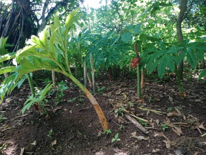 signal-2022-06-27-115128