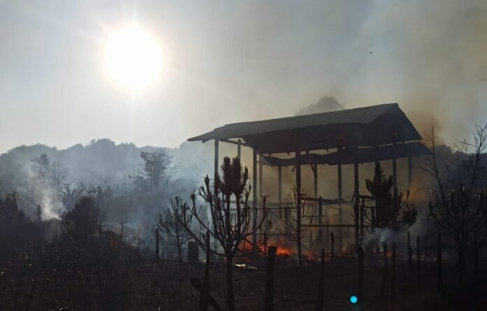 330913210_1364299004345061_6234616372260762724_n