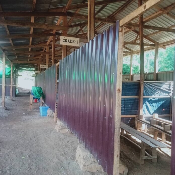 signal-2023-10-02-125710_002