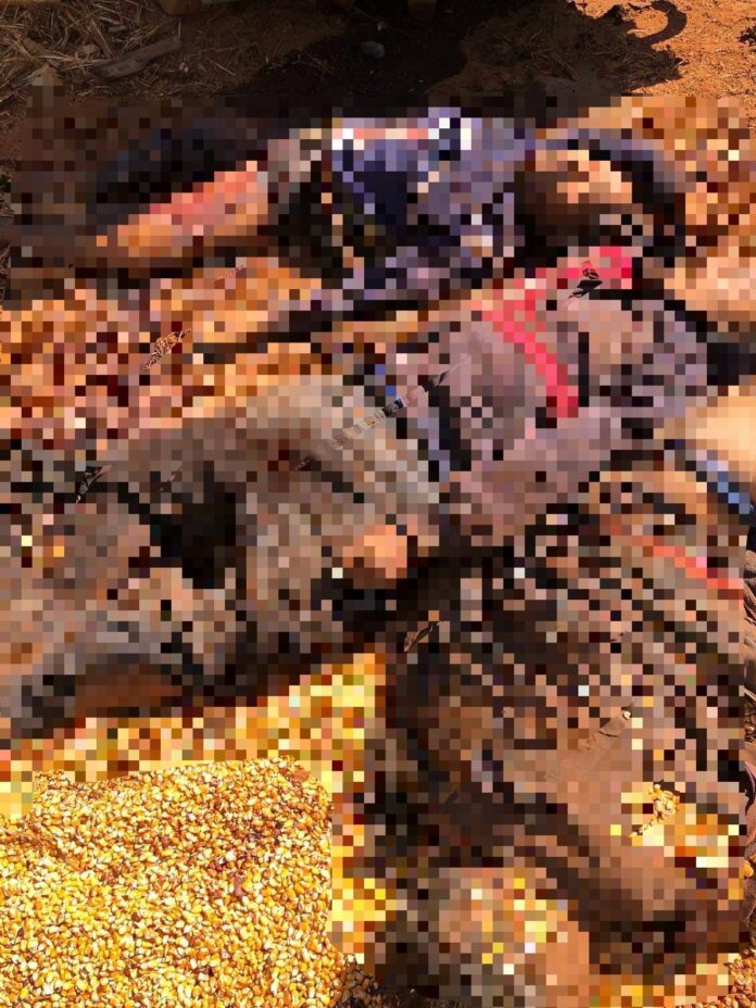 422648978_245646555268365_8080490361646082093_n