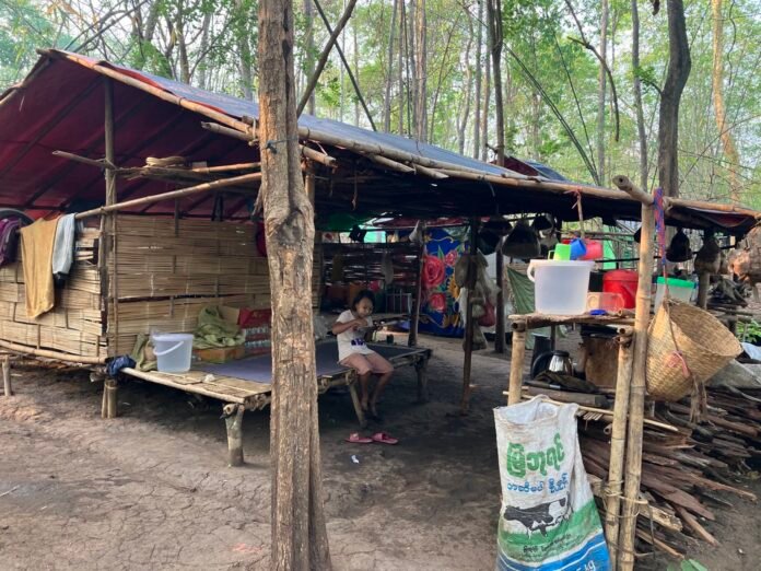 signal-2024-04-14-144626_002