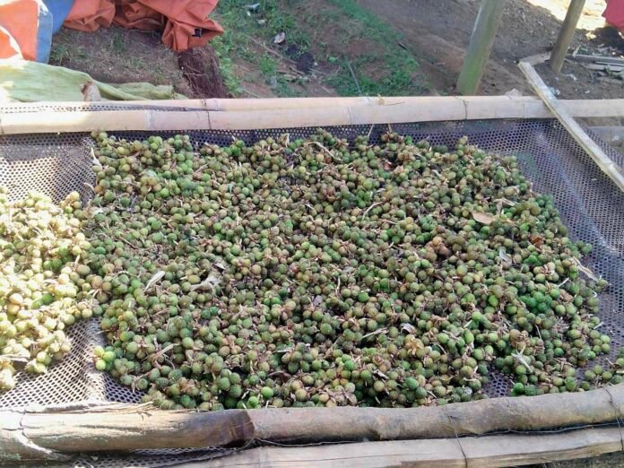 signal-2025-10-20-112448_002