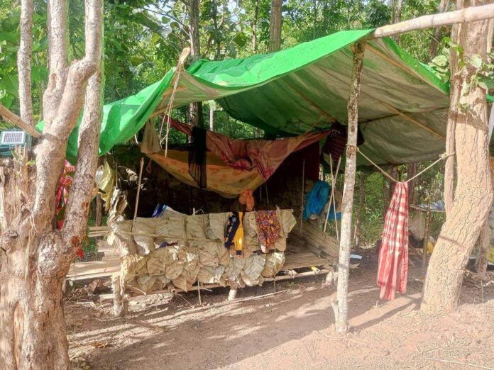 signal-2025-11-13-134802_003