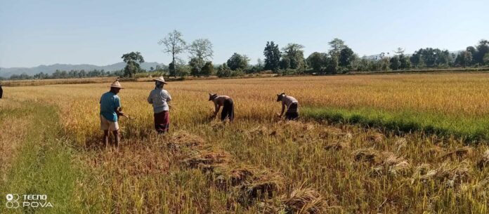 signal-2025-12-04-142500_002