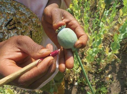 signal-2025-12-05-144221_002