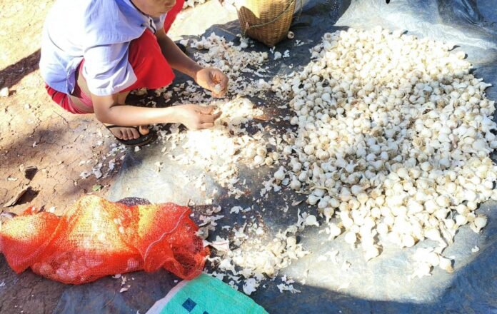 signal-2025-12-08-120245_002