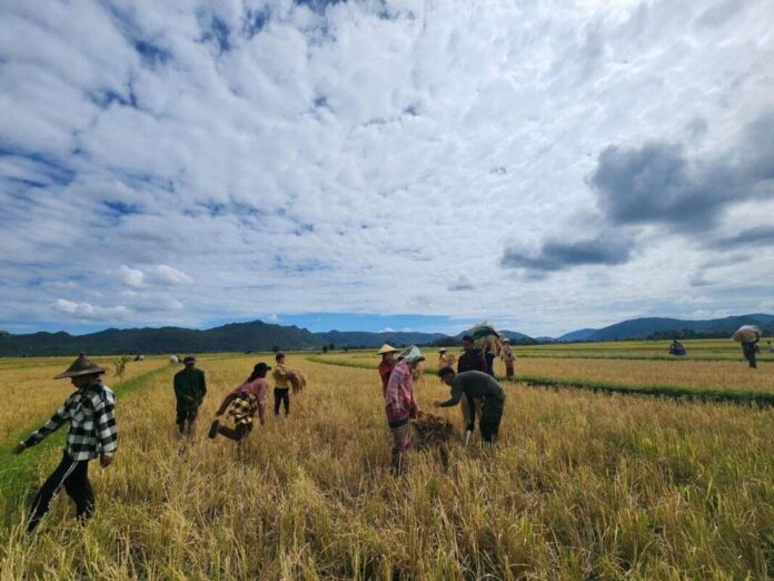 signal-2025-12-10-135647_002