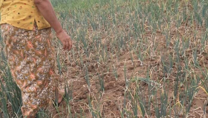 8a648ec1-b500-4fd7-b1e4-0550f189e61b