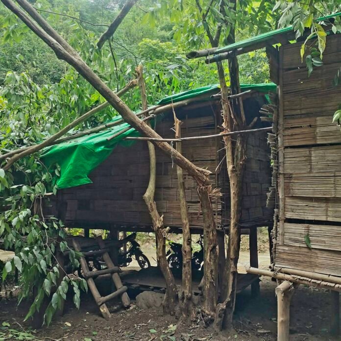 signal-2026-02-16-103216_002