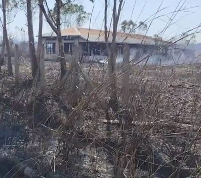 signal-2026-02-17-115419_003