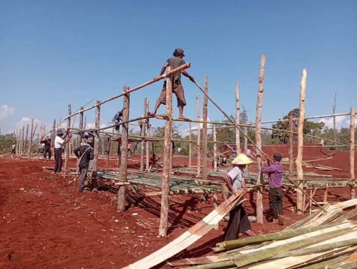 signal-2026-02-17-132737_003