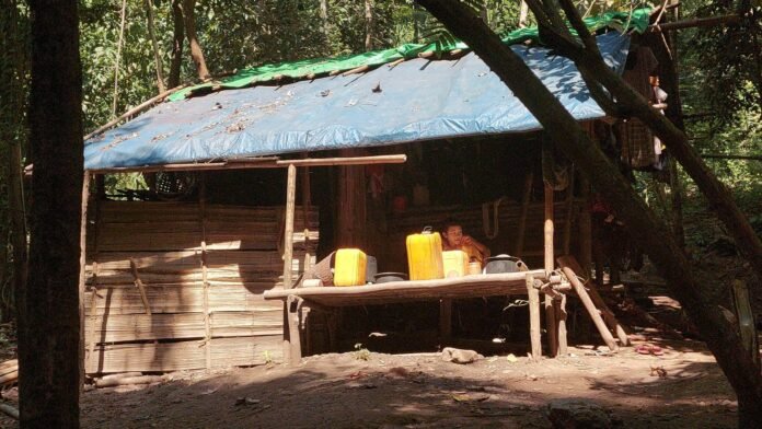 signal-2026-02-20-150752_003