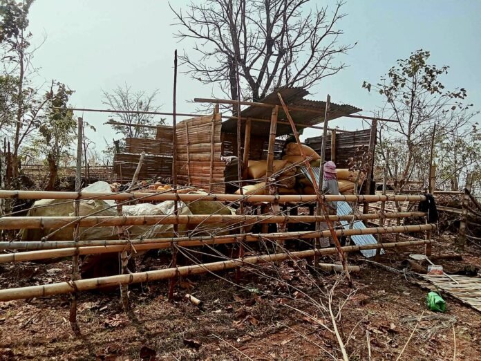 signal-2026-03-16-134910_004