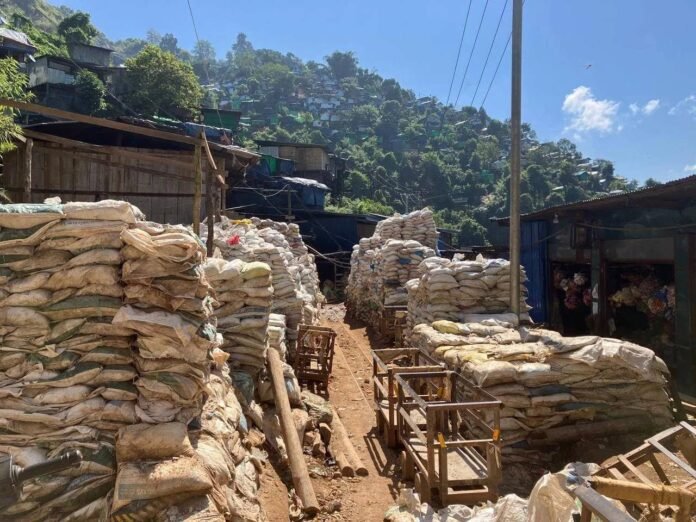 signal-2026-03-26-204408_003