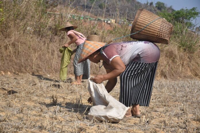 signal-2026-03-30-111012_002