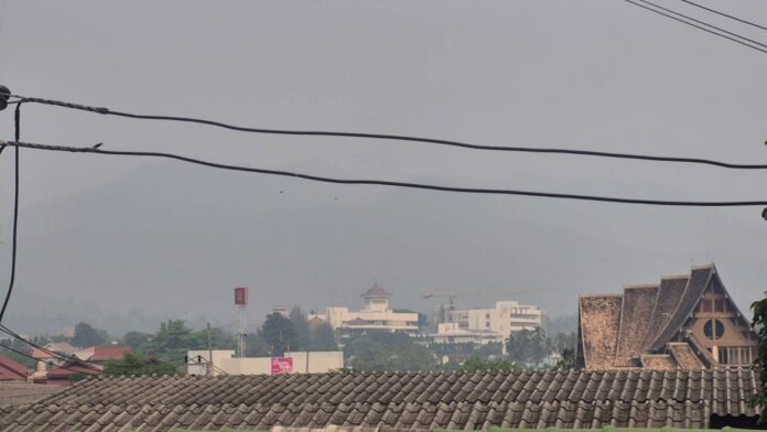 signal-2026-04-01-111528_002